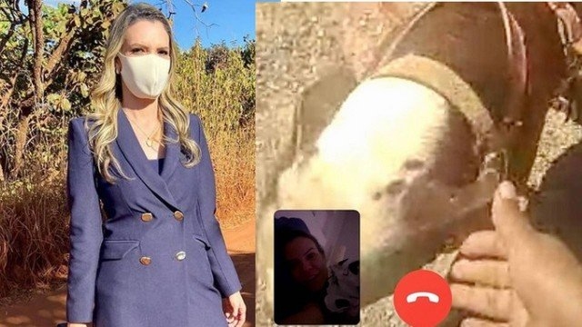  Repórter é mordida por cachorro durante cobertura de caso Lázaro