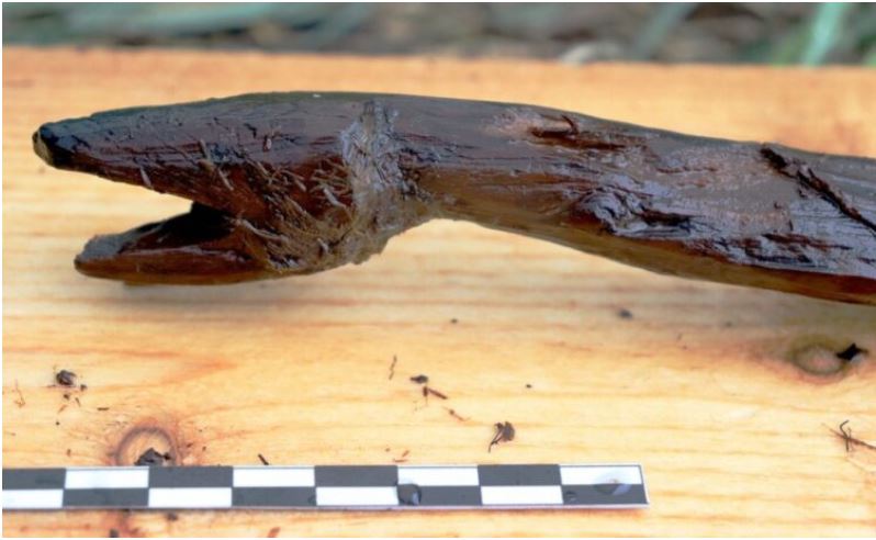  Arqueólogos encontram um bastão de serpente de 4.400 anos