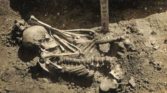  Arqueólogos encontram a primeira vítima de ataque de tubarão na História