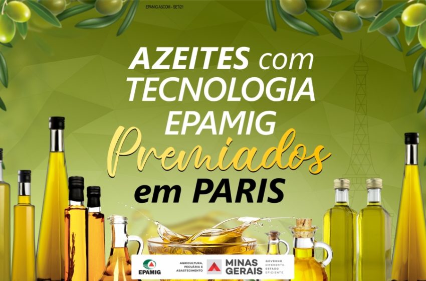  Concurso em Paris confirma azeites mineiros entre os melhores do mundo