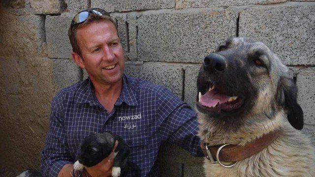  Ex-militar britânico é barrado na entrada do aeroporto de Cabul com 200 cães e gatos
