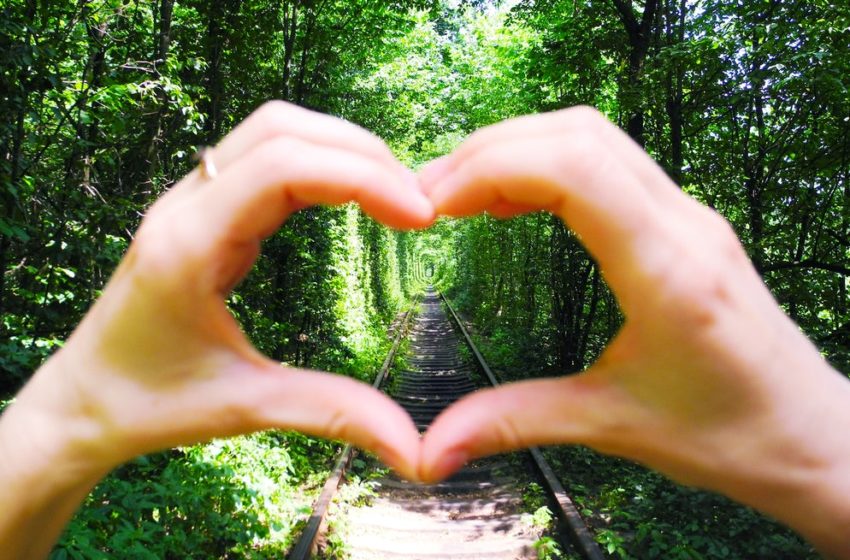  Conheça o Túnel do Amor, um paraíso apaixonante localizado na Ucrânia