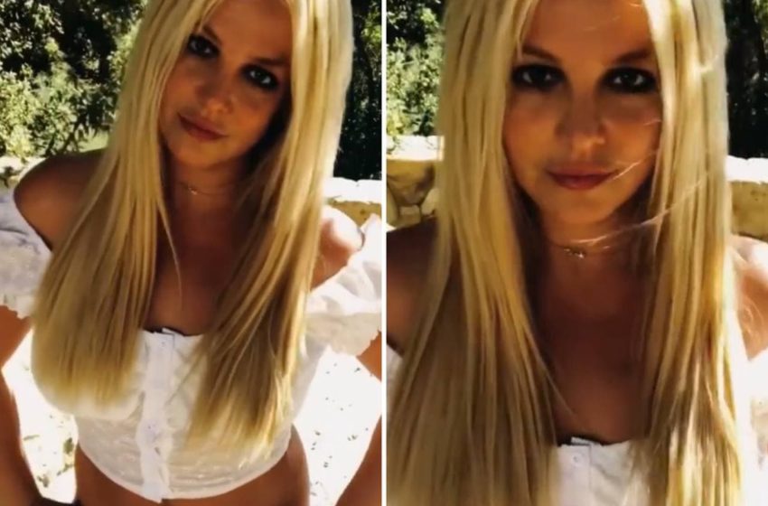  Britney Spears agradece movimento Free Britney no Instagram: “Não tenho palavras”