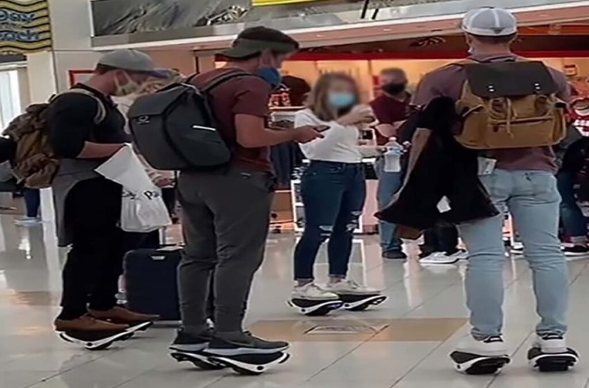  Família mais preguiçosa do mundo é encontrada em aeroporto americano