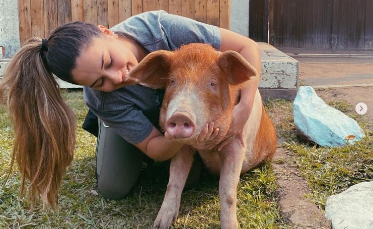  Bailarina do Faustão cria uma porca de 200kg: “Meu xodó”
