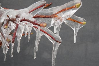  Entenda o que é chuva congelante, raro fenômeno que chega ao Brasil na próxima semana