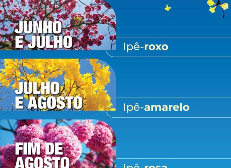  Começa a temporada de ipês, enchendo de cor e beleza todo o DF