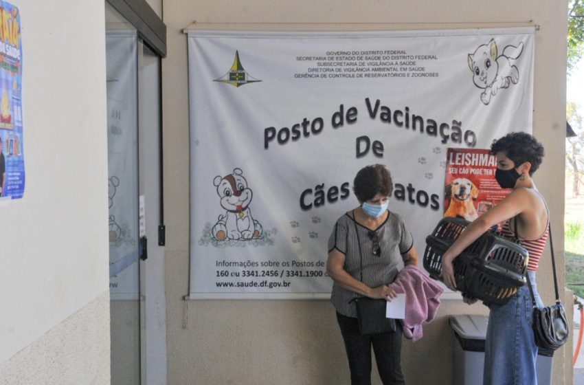  No DF, a imunização de cães e gatos continua em 72 pontos em 16 RAs 