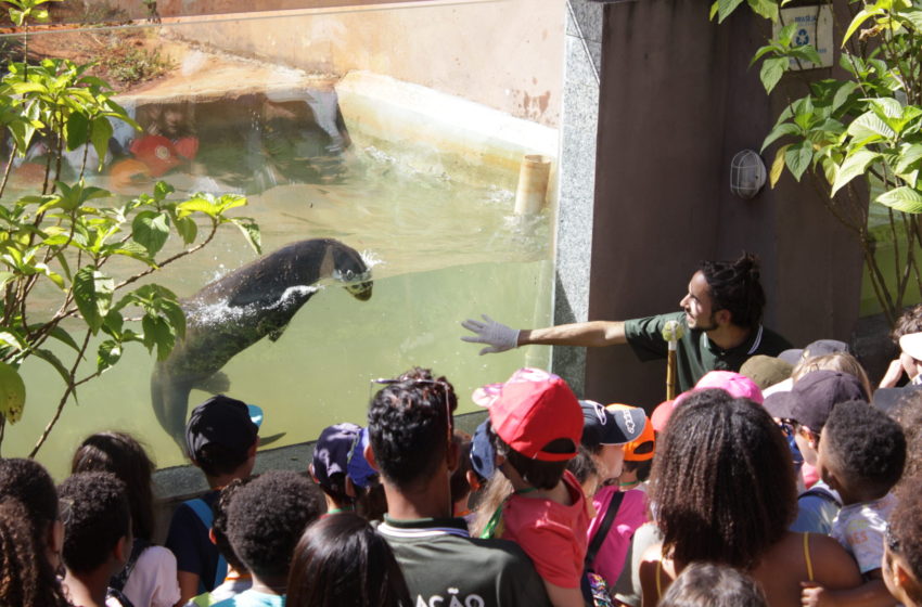  Colônia de Feras do Zoo de Brasília diverte criançada do DF