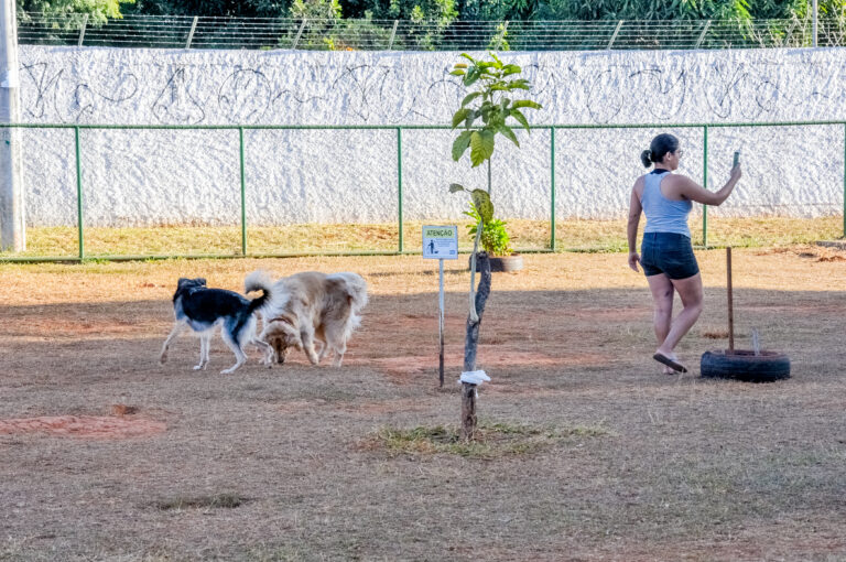  Parcães, os espaços bons pra cachorro do DF