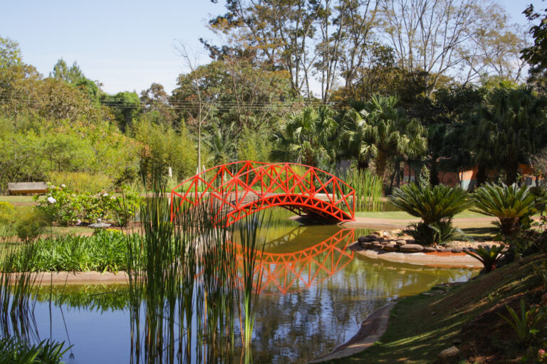  As muitas belezas e atrações do Jardim Botânico nas férias de julho