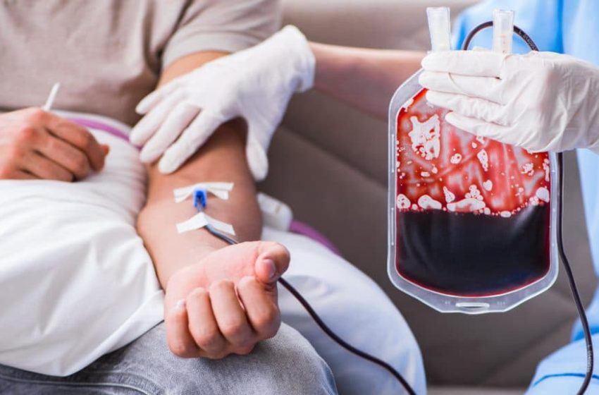  Embaixadores do sangue ajudam a multiplicar a importância de doar vida