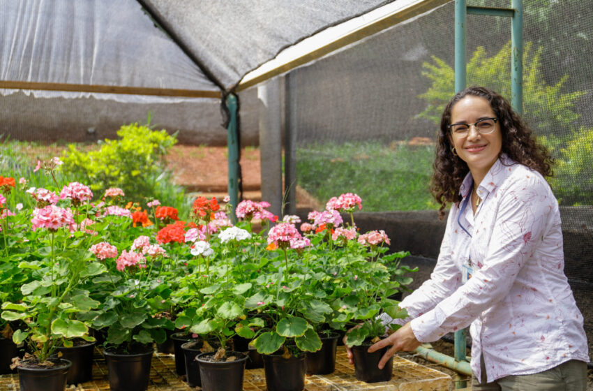  Cidade-parque, Brasília tem 5,5 milhões de árvores e 650 jardins públicos
