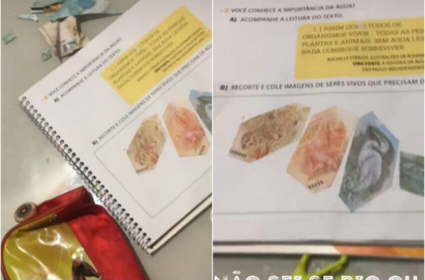  Mãe fica desesperada após ver o que filho fez na tarefa de casa: “socorro, Deus”