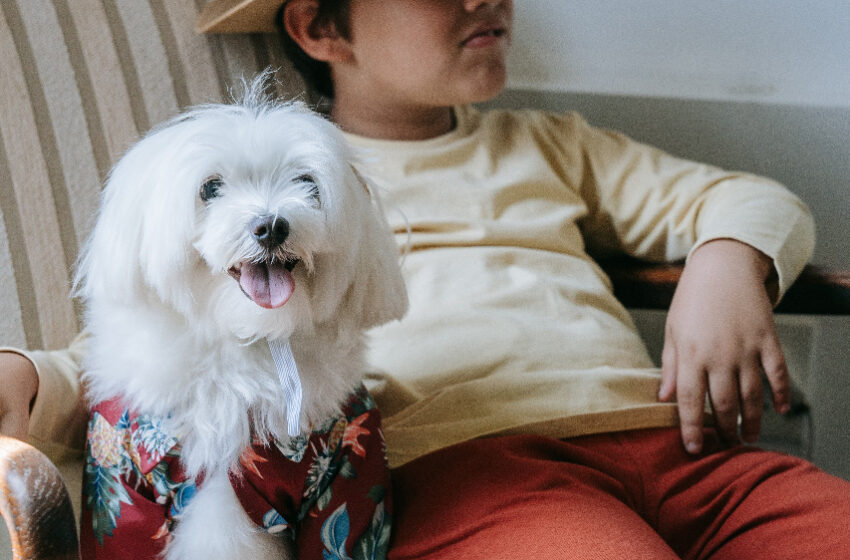 O benefício dos animais para o desenvolvimento infantil