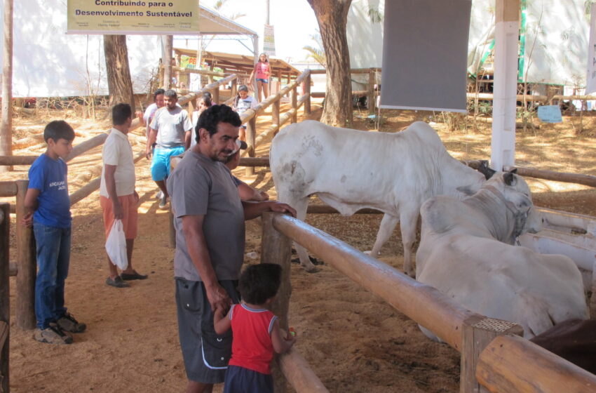  ExpoAgro de São Sebastião começa nesta quinta-feira (9)