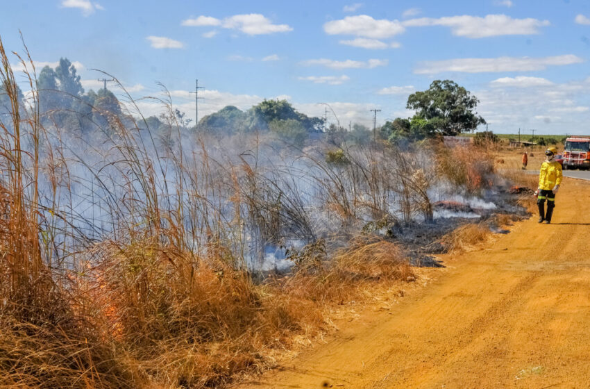  DF ficará em estado de emergência ambiental devido aos incêndios florestais