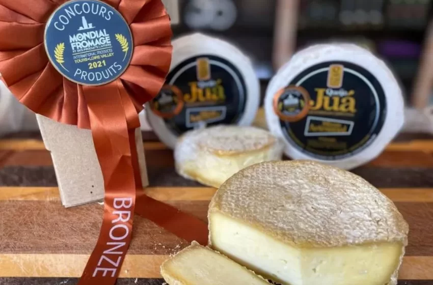  Dia Mundial do Queijo: conheça queijos mineiros premiados internacionalmente