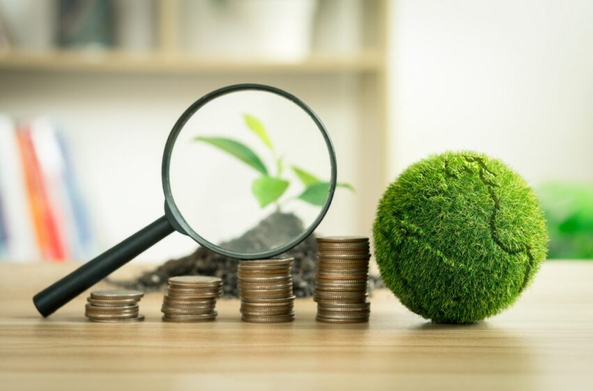  Lucro e Impacto Social: O Caminho do ESG para um Capitalismo de Stakeholders