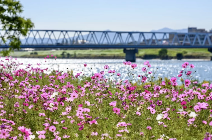  Primavera começa neste sábado, 23 de setembro de 2023