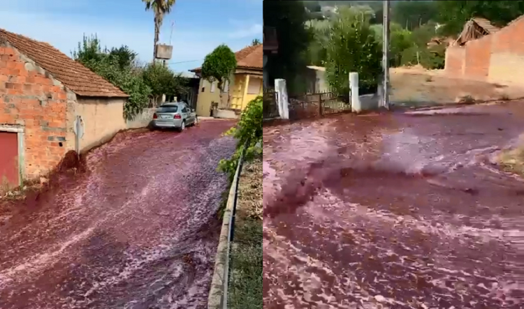  Rio de vinho toma ruas de cidade em Portugal; veja vídeo