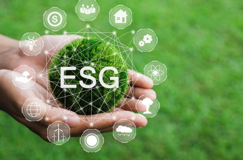 8 Motivações para a Adoção da Agenda ESG no Brasil