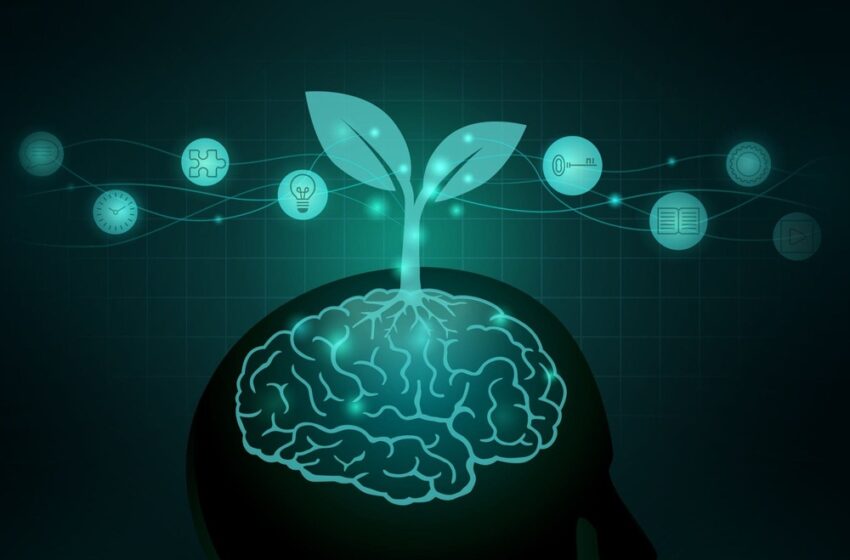  Mentalidade Fixa e de Crescimento: Preparando-se para o Mundo BANI