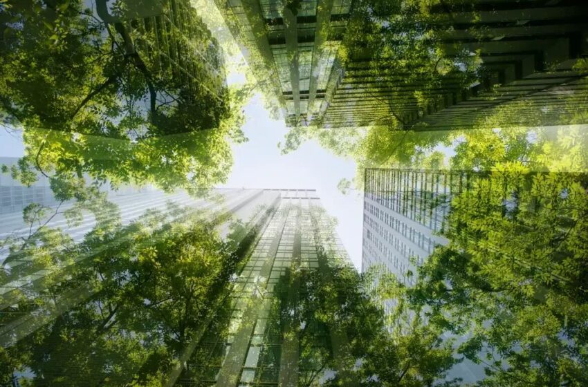  Publicidade Sustentável: Agências na Vanguarda do Compromisso ESG
