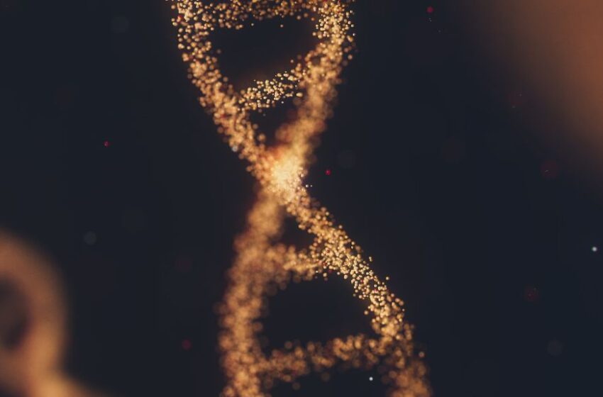  O que pode acontecer se seu DNA vazar na internet?