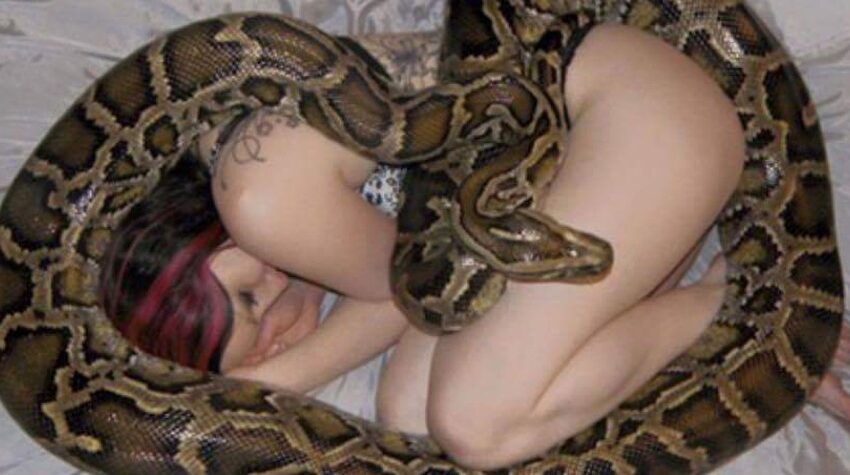  Uma mulher dormia com uma cobra todas as noites, mas o que o veterinário disse foi assustador