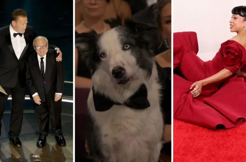  Tombo, diferença de altura e mais: veja os memes do Oscar 2024