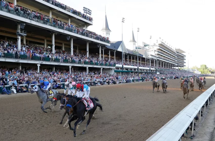  Primeira classe, passaporte e milhões de dólares: como cavalos viajam para eventos de corrida?