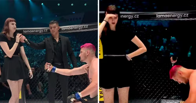 Lutador de MMA é ‘nocauteado’ ao pedir namorada em casamento após derrota no ringue; vídeo
