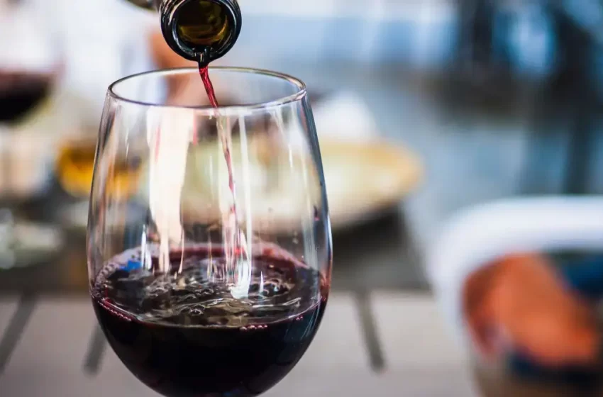  Beber vinho faz bem para a saúde? Veja o que especialistas dizem