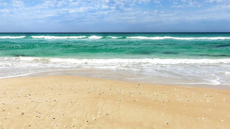  Bolinhas misteriosas na areia forçam Austrália a interditar praias