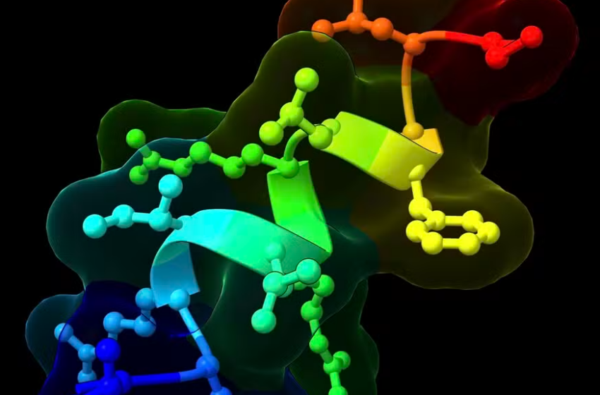  Cientistas descobrem molécula natural mais eficaz que o Ozempic na perda de peso