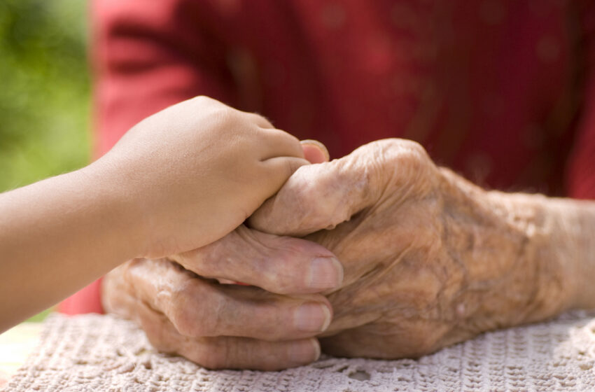  Mães e pais com açúcar
