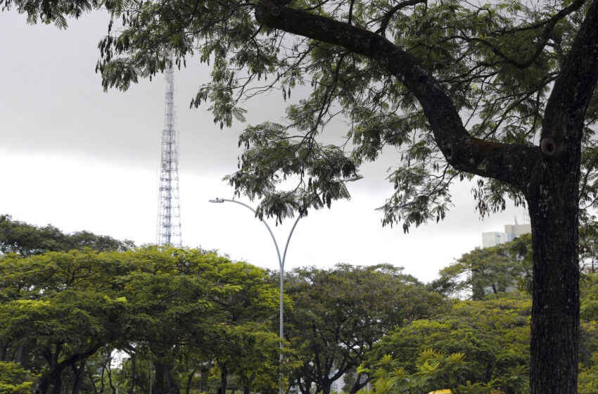  Cidade-parque, Brasília é a quinta capital mais arborizada do país