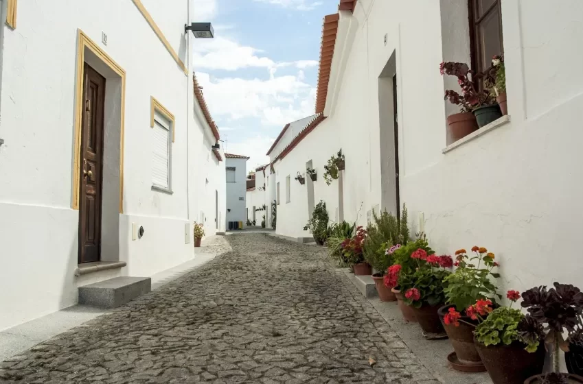  Cidade Europeia do Vinho: Baixo Alentejo sediará programações enoturísticas