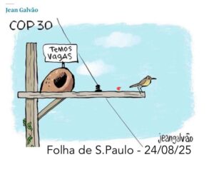 WhatsApp Image 2025-08-24 at 09.01.48