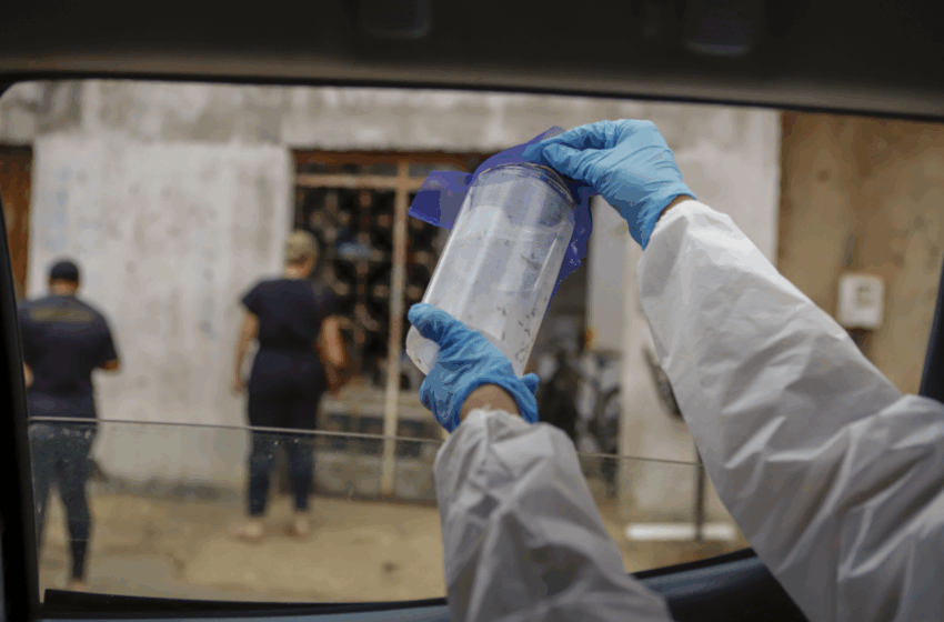  Wolbitos são soltos no Distrito Federal para ajudar no combate à dengue