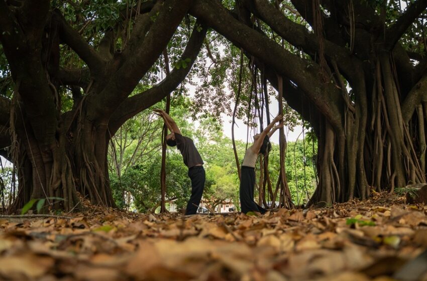 Projeto Desestressa Dançando integra arte e saúde por meio de oficinas gratuitas para a comunidade