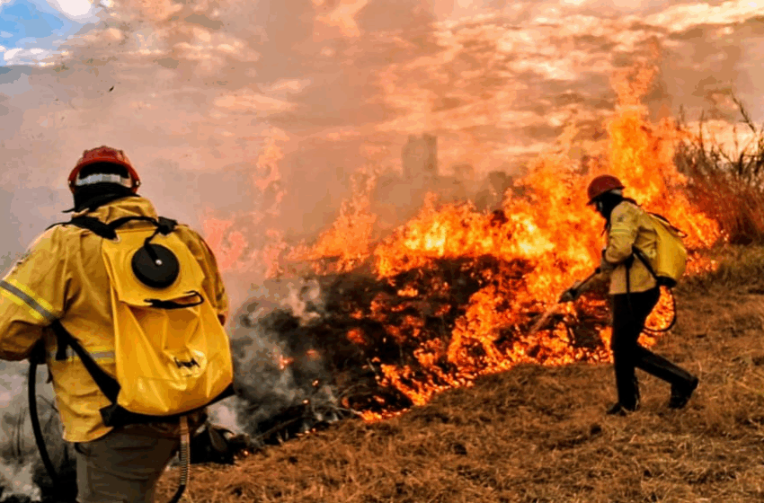  DF participa da COP 30 como referência nacional em sustentabilidade e proteção ao Cerrado