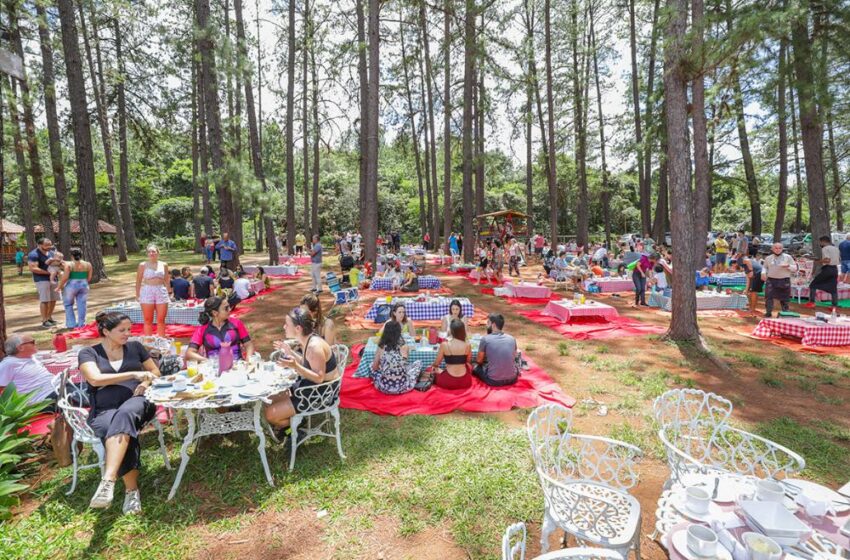  Confira o que abre e o que fecha no DF no feriado prolongado do Dia da Consciência Negra
