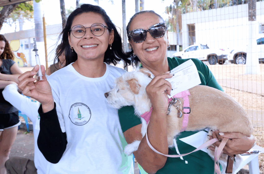  Sábado é dia de vacinar cães e gatos contra a raiva