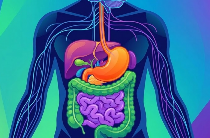  70 bilhões de células morrem por dia: Os fatos bizarros do seu corpo